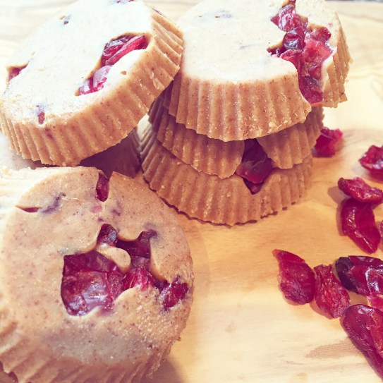 cranberry and peanut fudge cups