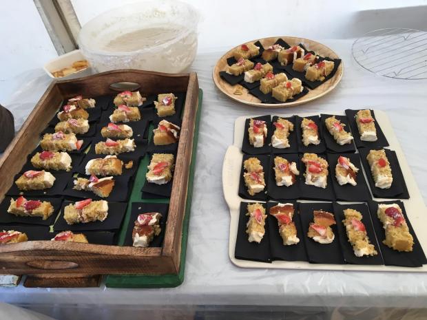 14124923_1017599721688736_6344727415933526586_o